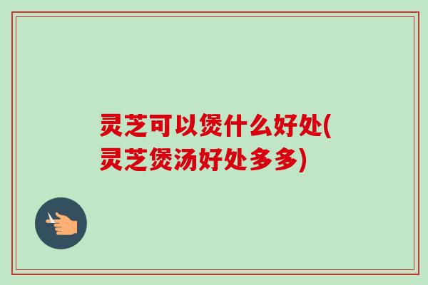 灵芝可以煲什么好处(灵芝煲汤好处多多)
