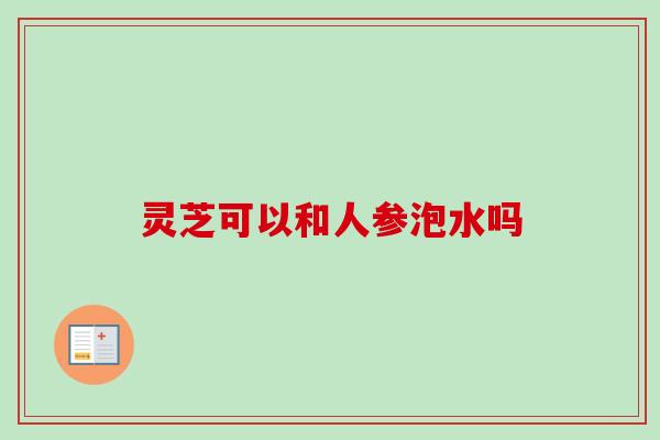 灵芝可以和人参泡水吗