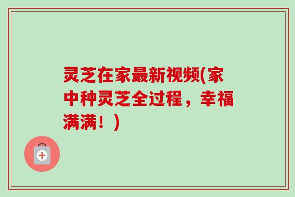 灵芝在家新视频(家中种灵芝全过程,幸福满满!) 灵芝在家新视频(家中种灵芝全过程,幸福满满!)