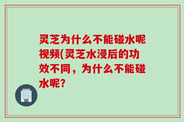 灵芝为什么不能碰水呢视频(灵芝水浸后的功效不同，为什么不能碰水呢？