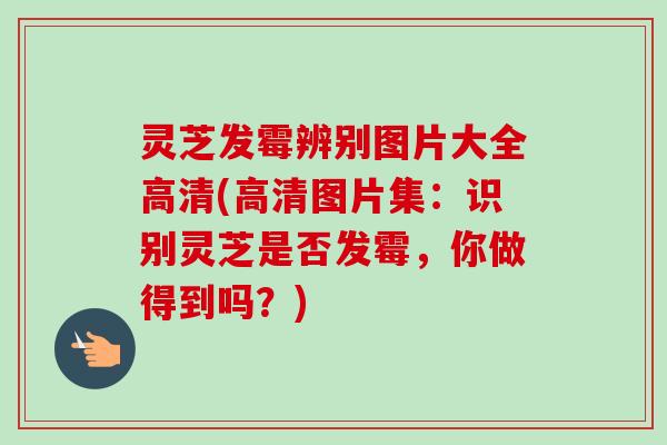 灵芝发霉辨别图片大全高清(高清图片集:识别灵芝是否发霉,你做得到吗?) 灵芝发霉辨别图片大全高清(高清图片集:识别灵芝是否发霉,你做得到吗?)