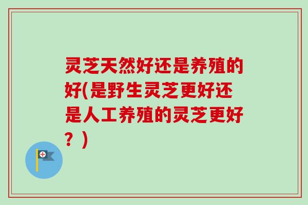 灵芝天然好还是养殖的好(是野生灵芝更好还是人工养殖的灵芝更好？)