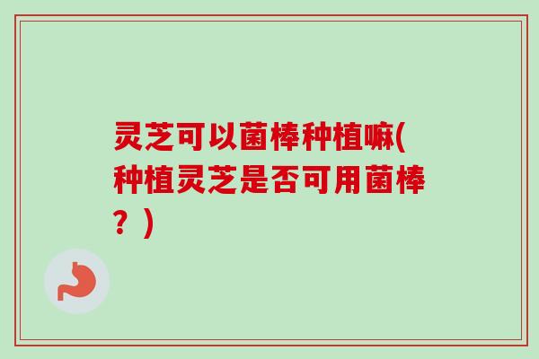 灵芝可以菌棒种植嘛(种植灵芝是否可用菌棒？)