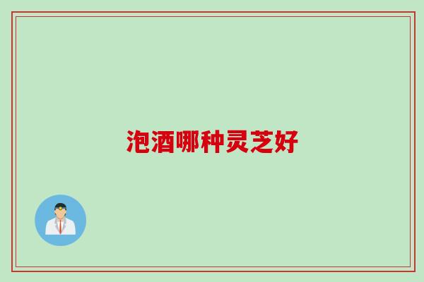 泡酒哪种灵芝好
