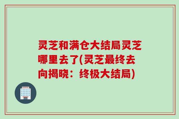 灵芝和满仓大结局灵芝哪里去了(灵芝最终去向揭晓：终极大结局)