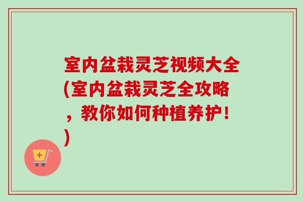 室内盆栽灵芝视频大全(室内盆栽灵芝全攻略，教你如何种植养护！)