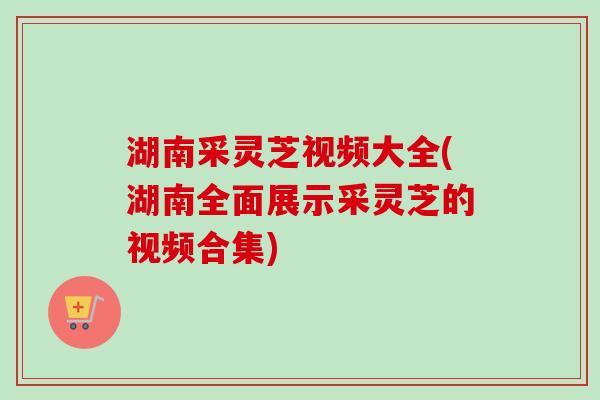 湖南采灵芝视频大全(湖南全面展示采灵芝的视频合集)