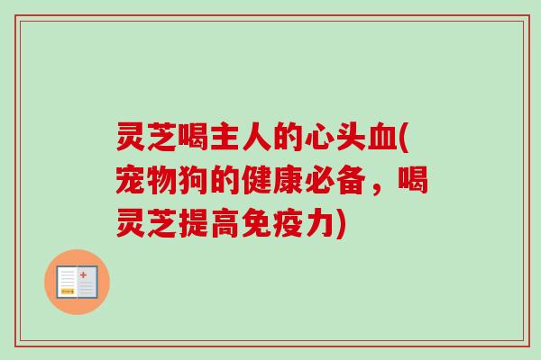 灵芝喝主人的心头血(宠物狗的健康必备，喝灵芝提高免疫力)