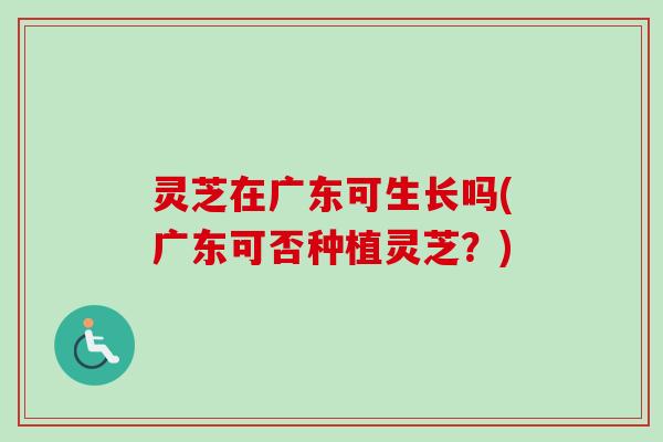 灵芝在广东可生长吗(广东可否种植灵芝？)