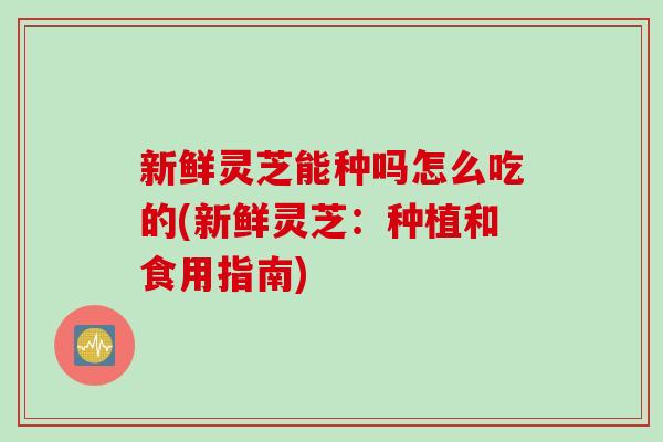 新鲜灵芝能种吗怎么吃的(新鲜灵芝：种植和食用指南)