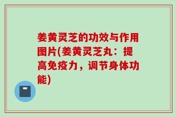 姜黄灵芝的功效与作用图片(姜黄灵芝丸：提高免疫力，调节身体功能)