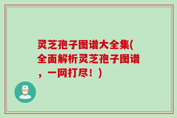 灵芝孢子图谱大全集(全面解析灵芝孢子图谱，一网打尽！)