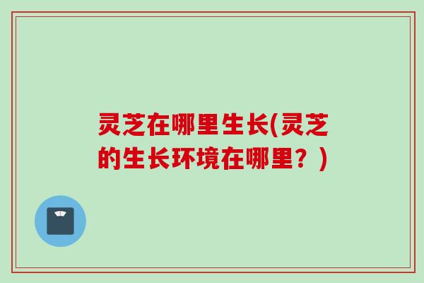 灵芝在哪里生长(灵芝的生长环境在哪里？)