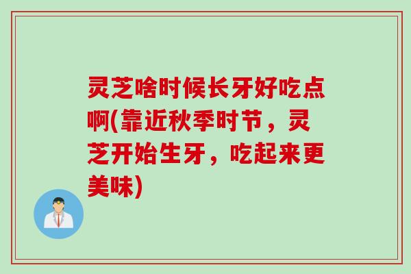 灵芝啥时候长牙好吃点啊(靠近秋季时节，灵芝开始生牙，吃起来更美味)