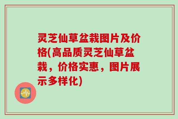 灵芝仙草盆栽图片及价格(高品质灵芝仙草盆栽，价格实惠，图片展示多样化)