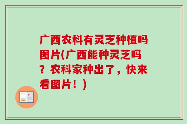 广西农科有灵芝种植吗图片(广西能种灵芝吗？农科家种出了，快来看图片！)