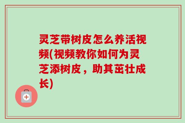 灵芝带树皮怎么养活视频(视频教你如何为灵芝添树皮，助其茁壮成长)