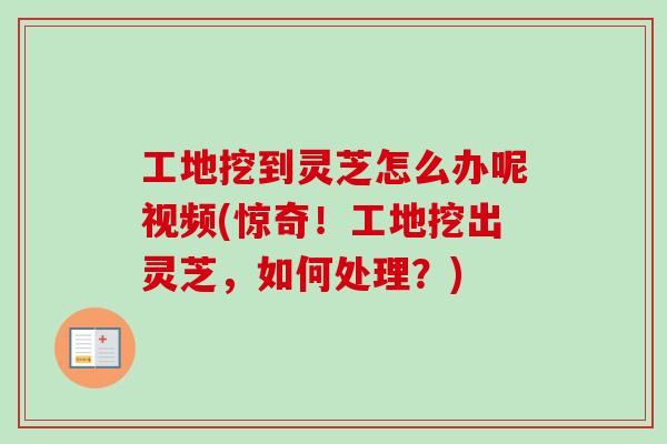 工地挖到灵芝怎么办呢视频(惊奇！工地挖出灵芝，如何处理？)