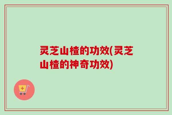 灵芝山楂的功效(灵芝山楂的神奇功效)
