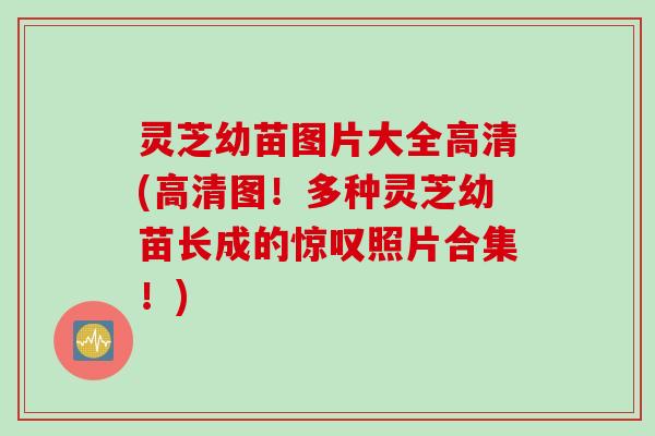 灵芝幼苗图片大全高清(高清图！多种灵芝幼苗长成的惊叹照片合集！)