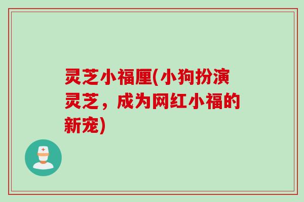 灵芝小福厘(小狗扮演灵芝，成为网红小福的新宠)