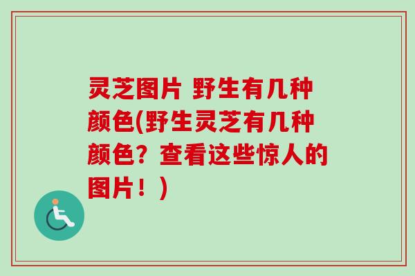 灵芝图片 野生有几种颜色(野生灵芝有几种颜色？查看这些惊人的图片！)