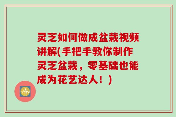 灵芝如何做成盆栽视频讲解(手把手教你制作灵芝盆栽，零基础也能成为花艺达人！)