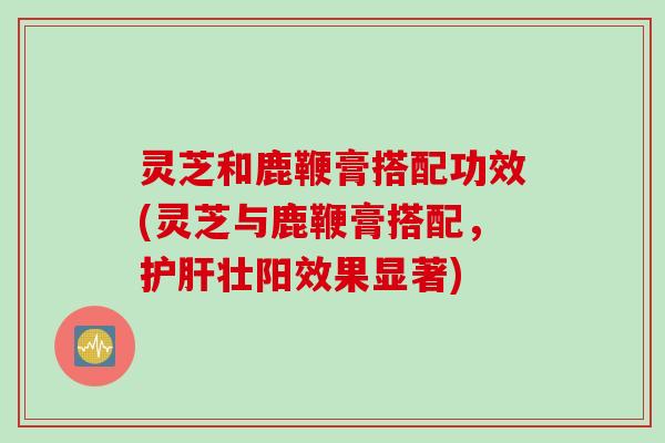 灵芝和鹿鞭膏搭配功效(灵芝与鹿鞭膏搭配，护肝壮阳效果显著)