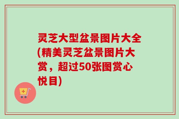 灵芝大型盆景图片大全(精美灵芝盆景图片大赏，超过50张图赏心悦目)