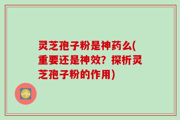 灵芝孢子粉是神药么(重要还是神效？探析灵芝孢子粉的作用)
