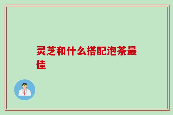 灵芝和什么搭配泡茶最佳