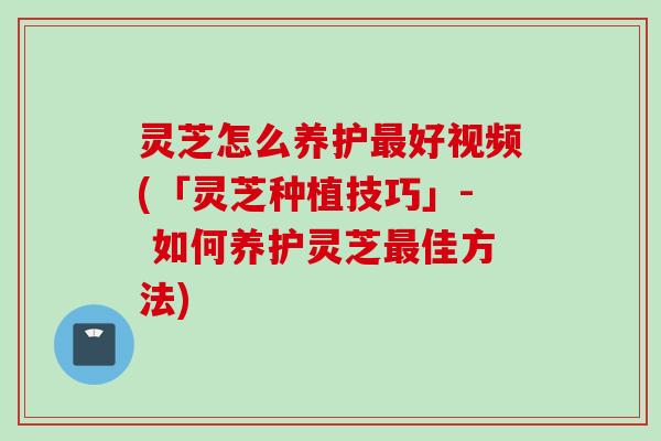 灵芝怎么养护最好视频(「灵芝种植技巧」- 如何养护灵芝最佳方法)