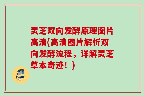 灵芝双向发酵原理图片高清(高清图片解析双向发酵流程，详解灵芝草本奇迹！)