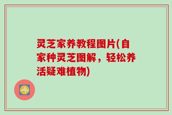灵芝家养教程图片(自家种灵芝图解，轻松养活疑难植物)