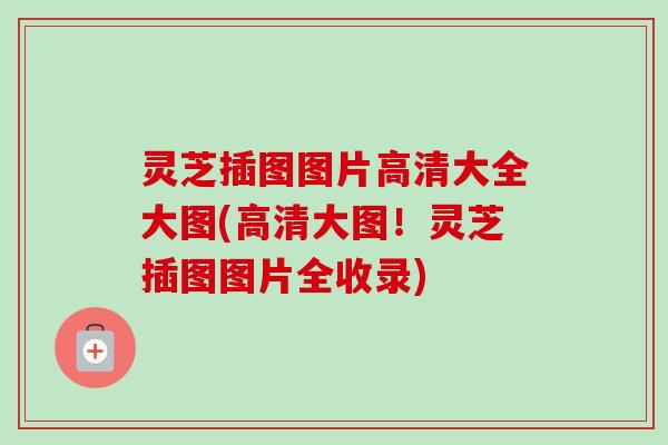 灵芝插图图片高清大全大图(高清大图！灵芝插图图片全收录)