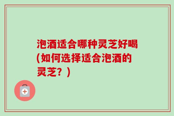 泡酒适合哪种灵芝好喝(如何选择适合泡酒的灵芝？)