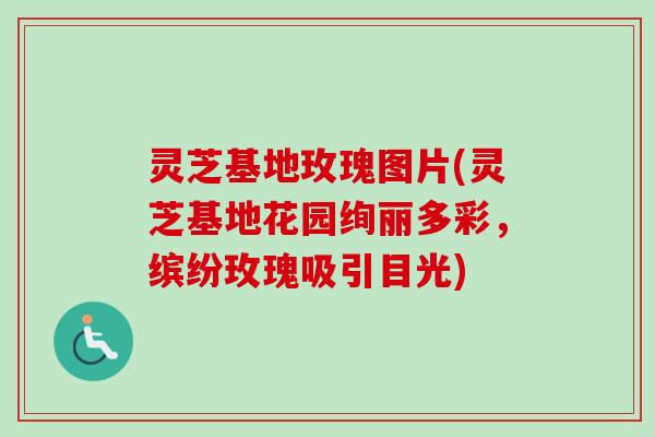 灵芝基地玫瑰图片(灵芝基地花园绚丽多彩，缤纷玫瑰吸引目光)