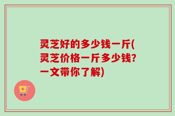 灵芝好的多少钱一斤(灵芝价格一斤多少钱？一文带你了解)