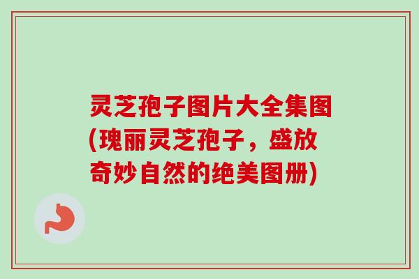 灵芝孢子图片大全集图(瑰丽灵芝孢子，盛放奇妙自然的绝美图册)