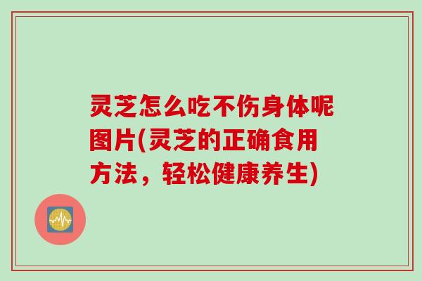 灵芝怎么吃不伤身体呢图片(灵芝的正确食用方法，轻松健康养生)