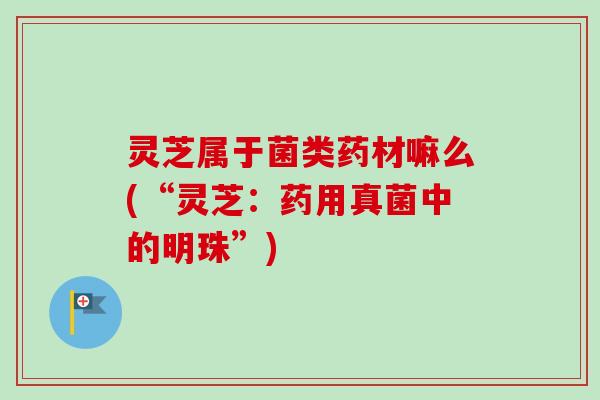 灵芝属于菌类药材嘛么(“灵芝：药用真菌中的明珠”)