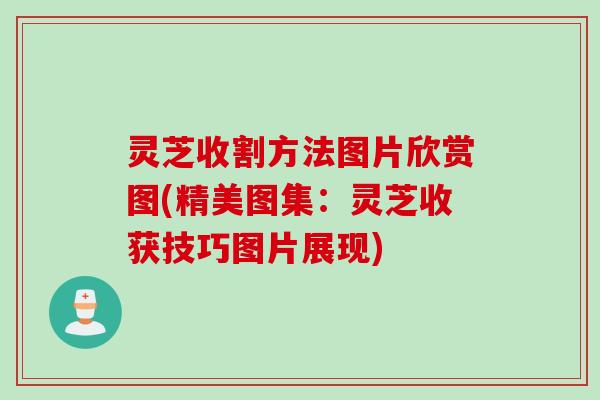 灵芝收割方法图片欣赏图(精美图集：灵芝收获技巧图片展现)