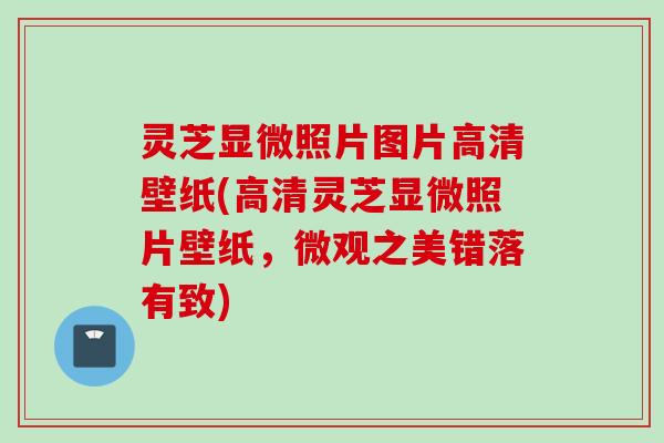灵芝显微照片图片高清壁纸(高清灵芝显微照片壁纸，微观之美错落有致)