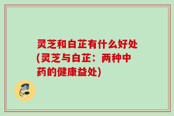 灵芝和白芷有什么好处(灵芝与白芷：两种中药的健康益处)