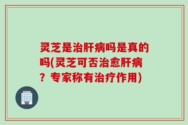 灵芝是治肝病吗是真的吗(灵芝可否治愈肝病？专家称有治疗作用)
