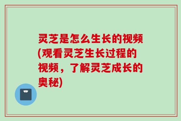 灵芝是怎么生长的视频(观看灵芝生长过程的视频，了解灵芝成长的奥秘)