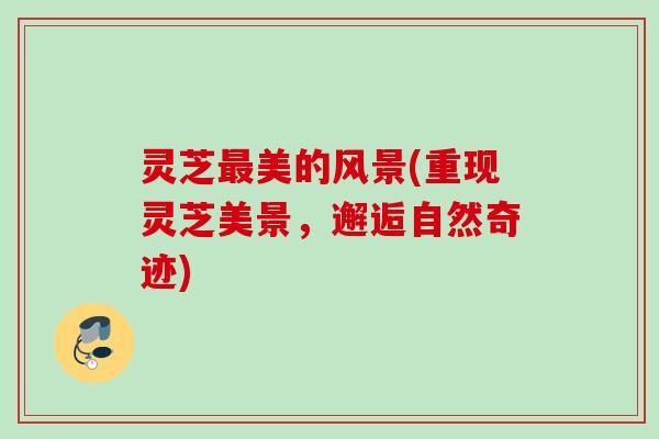 灵芝最美的风景(重现灵芝美景，邂逅自然奇迹)