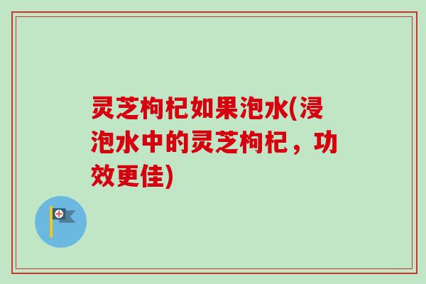 灵芝枸杞如果泡水(浸泡水中的灵芝枸杞，功效更佳)