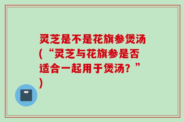 灵芝是不是花旗参煲汤(“灵芝与花旗参是否适合一起用于煲汤？”)