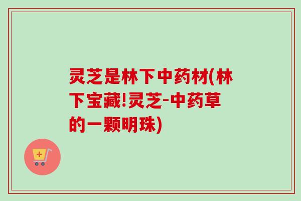 灵芝是林下中药材(林下宝藏!灵芝-中药草的一颗明珠)